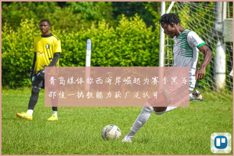 青岛媒体称西海岸崛起为赛季黑马邵佳一执教能力获广泛认可