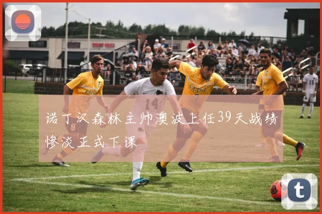 诺丁汉森林主帅澳波上任39天战绩惨淡正式下课
