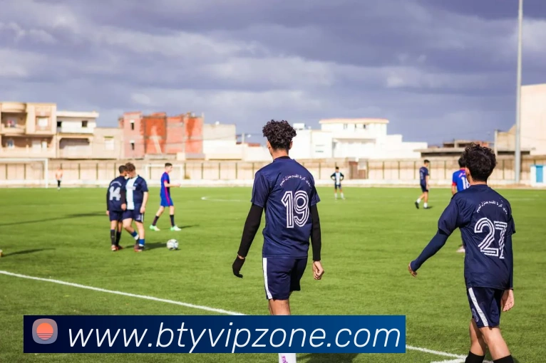 B体育平台生态图